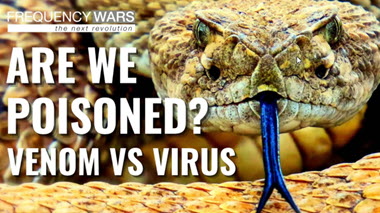 Frequency War Series